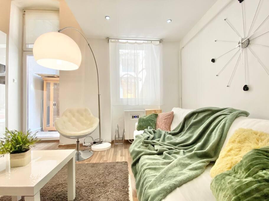 בודפשט Stay Cool! Apartment With Sauna And Private Garden מראה חיצוני תמונה